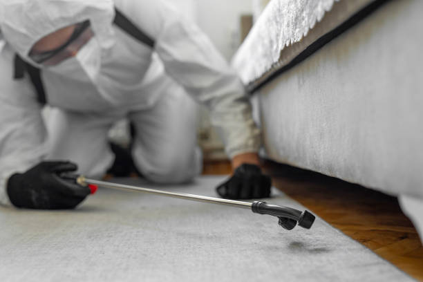 Professional Pest Control technician working in Three Points, AZ